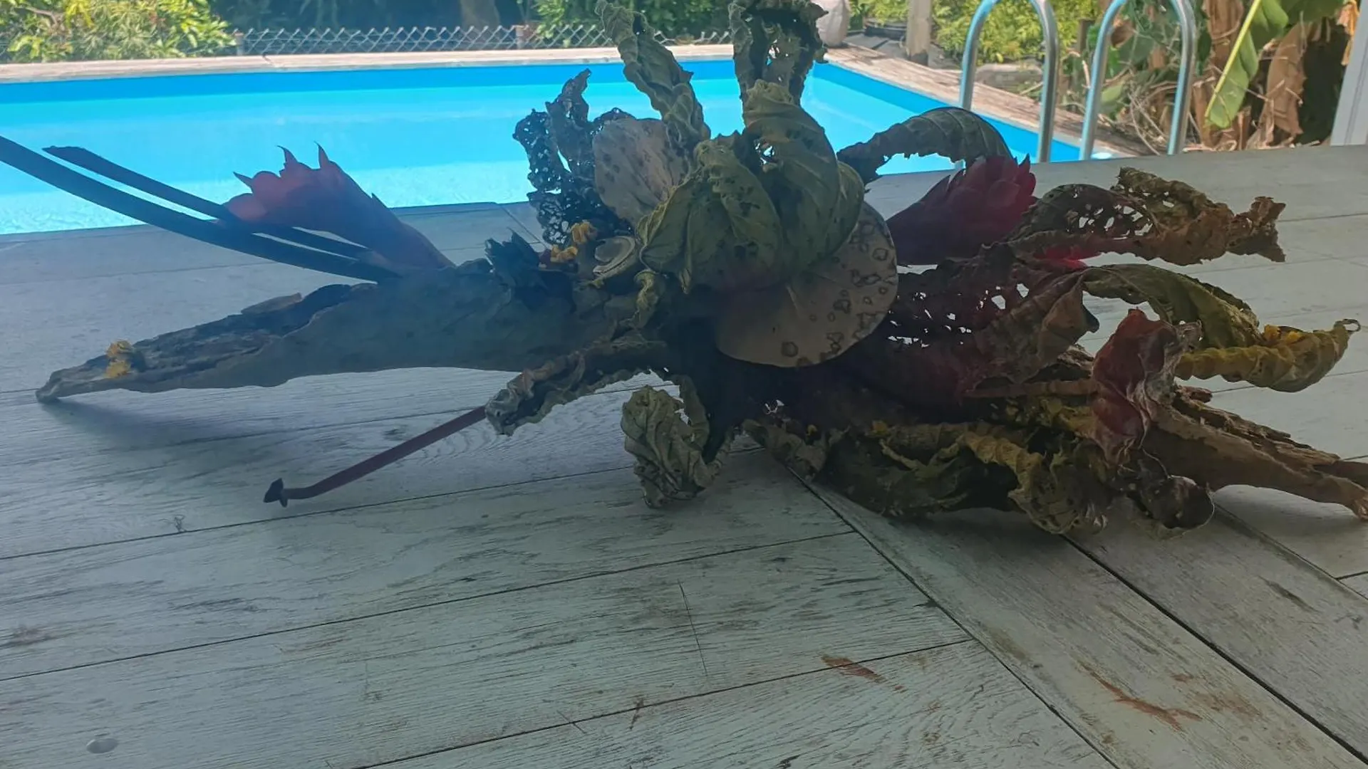 度假居 Charmant Haut De Villa Avec Piscine Partagee 勒沃克兰