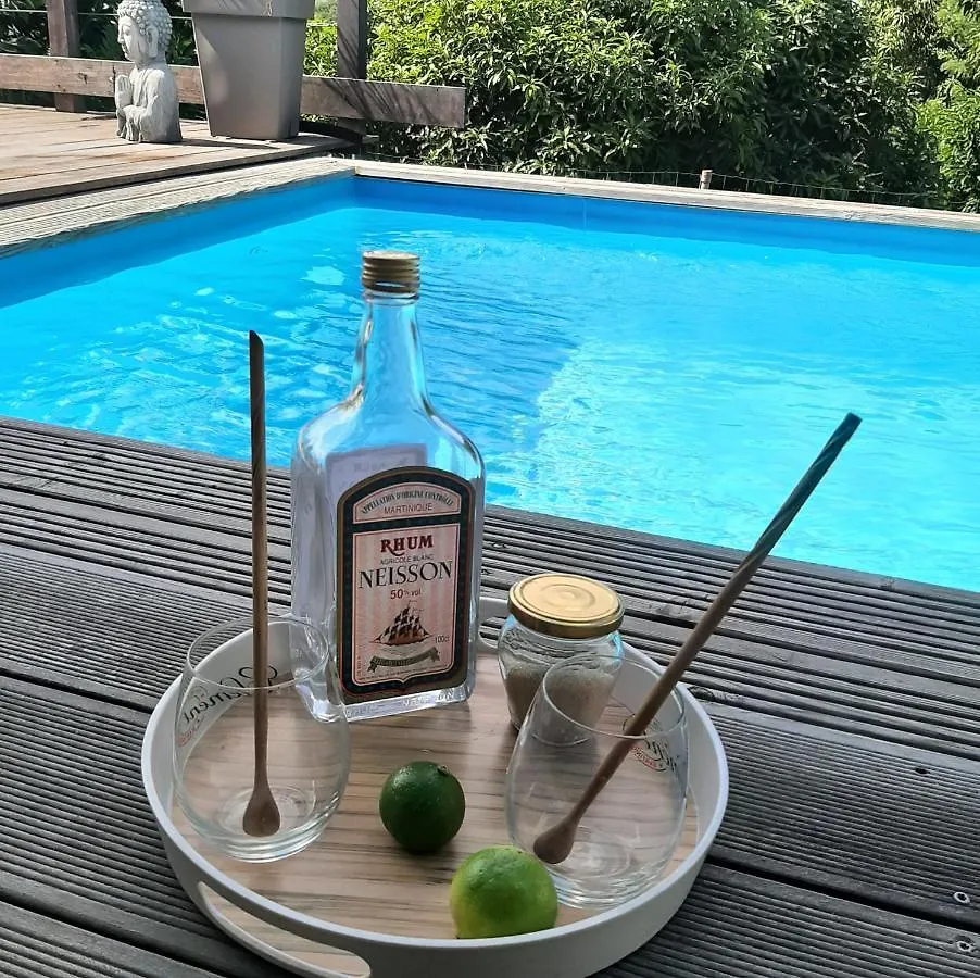 Charmant Haut De Villa Avec Piscine Partagee Le Vauclin