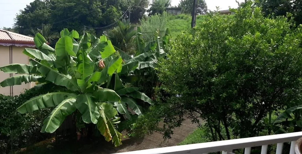 Charmant Haut De Villa Avec Piscine Partagee Le Vauclin Holiday home