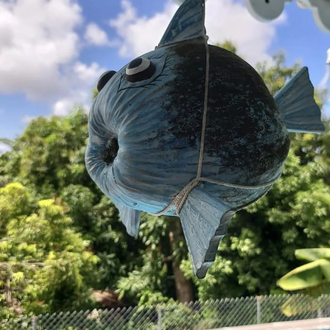 Charmant Haut De Villa Avec Piscine Partagee Le Vauclin