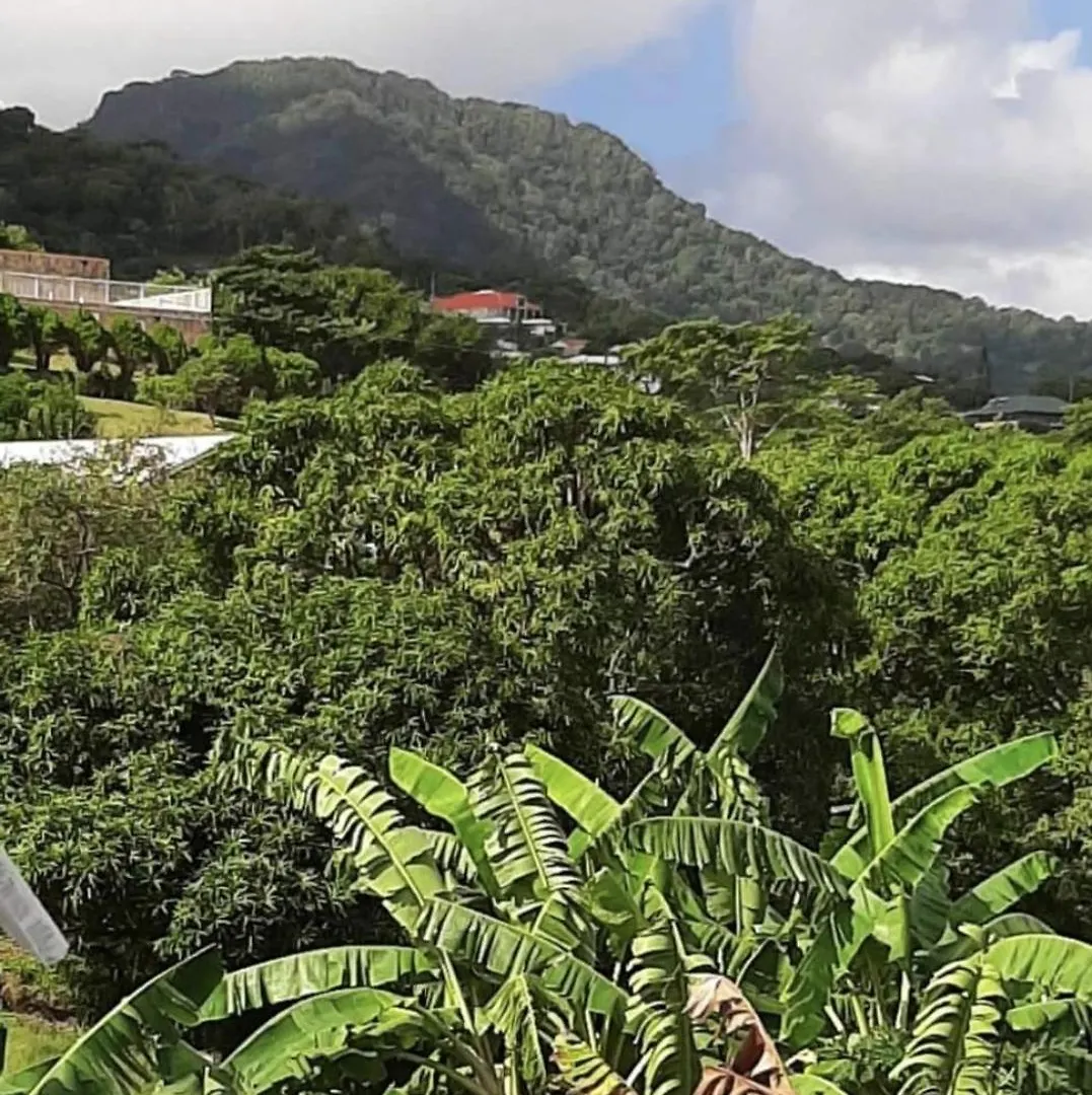 Charmant Haut De Villa Avec Piscine Partagee Le Vauclin Holiday home